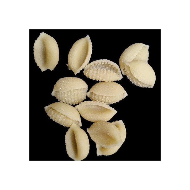 Beads Shell Pasta Disc for Philips Pastamaker – Shell-Shaped Pasta, Compatible with Avance, Premium, and Artisan Series