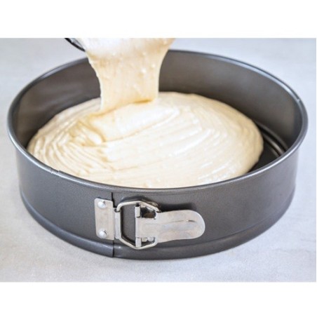 MasterClass 25 cm Non-Stick Springform Cake Tin with Loose Base