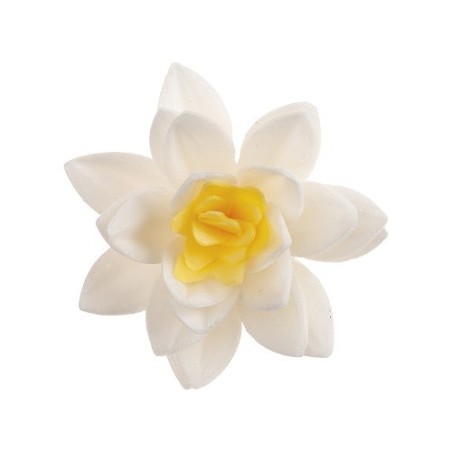 8435599766198 - DeKora 7cm Edible Paper Wafer Flowers White, 10 pcs