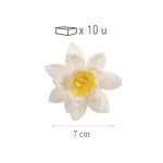 deKora 7cm Esspapier Osterglocken Weiss, 10 Stück deKora 7cm Esspapier Osterglocken Weiss, 10 Stück