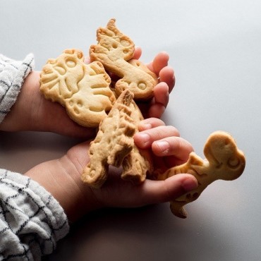 Dekora Dinosaurier Plätzchenausstecherset, 2 Stück