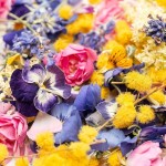 LIOFLOR Edible Flower Mix, 2g