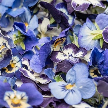 LIOFLOR Edible Flowers – Perfect for Cakes & Desserts