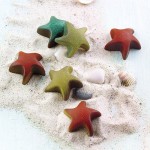 Silikomart Chocolate Mould Choco Starfish