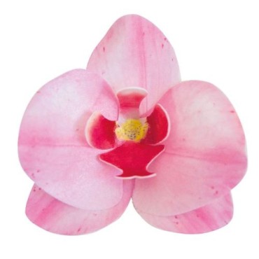Dekora Esspapier Orchideen Rosa – 10 Stück – Glutenfrei & ohne Zucker