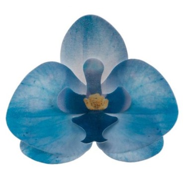 DeKora Edible Wafer Orchids Blue – 10 pcs – Gluten Free & Sugar Free