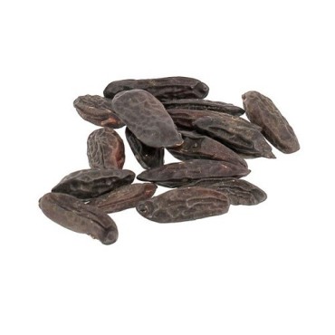 Patisdécor Tonkabohnen 15g – intensives Vanille-Karamell-Aroma für süsse & herzhafte Rezepte
