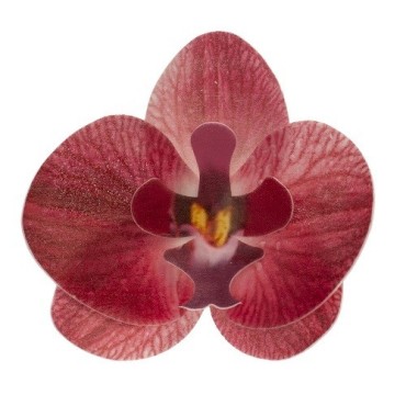 Edible Wafer Paper Orchids Burgundy 10 pcs – deKora Cake Flowers 8.5 cm