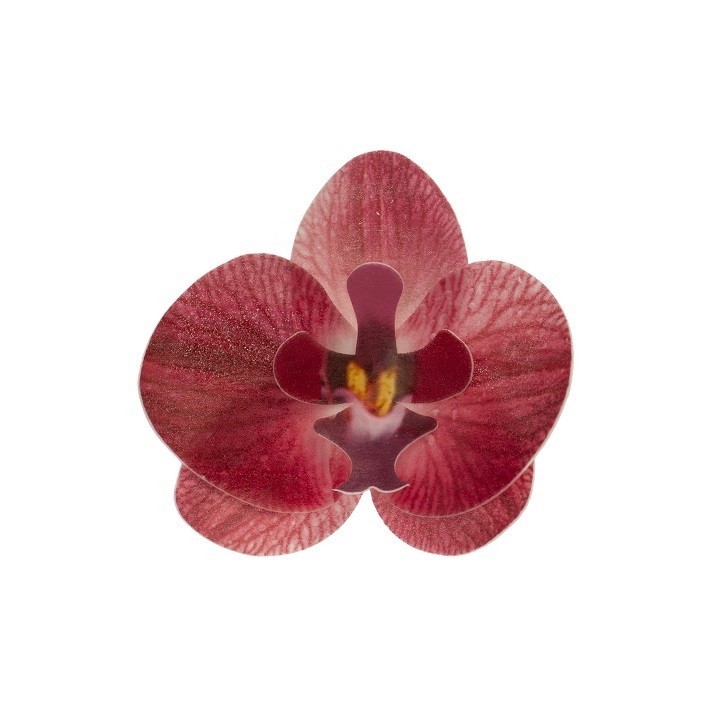 Edible Wafer Paper Orchids Burgundy 10 pcs – deKora Cake Flowers 8.5 cm