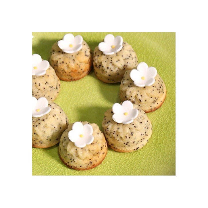 Patisdécor Backmohn 200 g – Zerkleinerter blauer Mohn für Backen & Desserts