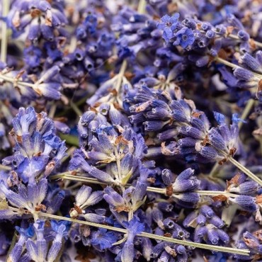 Lioflor Lavender 2g – Freeze-dried edible blossoms for desserts & baking