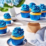 FunCakes Sugarpaste Bella Blue, 250g