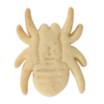 Städter Spinne Plätzchen Ausstecher mit Auswerfer 7cm