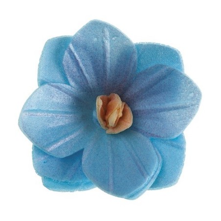 deKora Edible Blue Wafer Flowers 4 cm – 18 pcs | Elegant Cake Decorations | Bakeria.ch