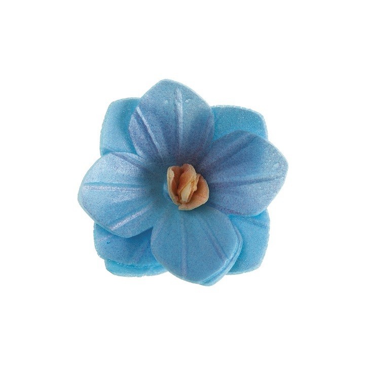 deKora Edible Blue Wafer Flowers 4 cm – 18 pcs | Elegant Cake Decorations | Bakeria.ch