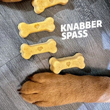 Collory 7 cm Knochen Hundeleckerli-Backmatte Petrol – Hundekekse backen | Bakeria