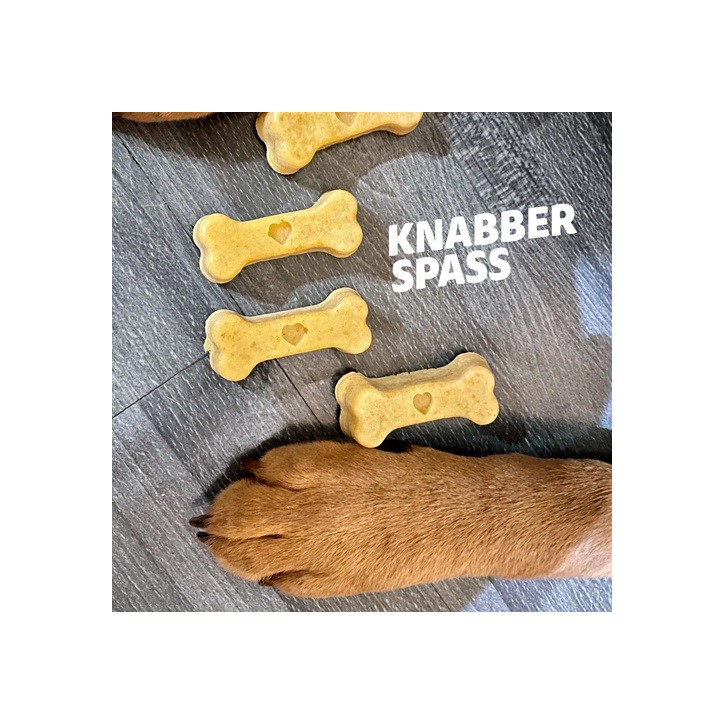 Collory 7 cm Bone Treat Baking Mat Petrol – Dog Biscuit Silicone Mold | Bakeria