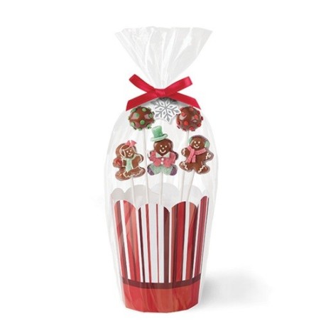 Wilton Christmas Cake Pop Packaging 2 pcs – Gift Box with Ribbon | Bakeria.ch
