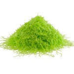 deKora Wafer Paper Shred Green, 210g