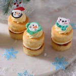 PME Christmas Edible Sugar Decorations - Noth Pole Express 12pc