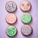 Rainbow Dust Cake Art Pen Multipack 5 Stück