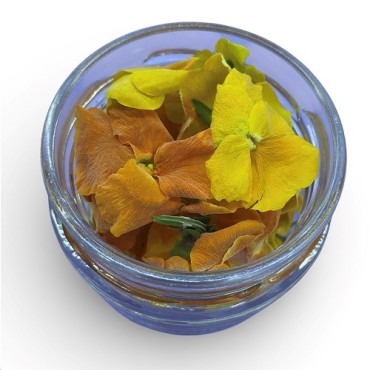 LIOFLOR Edible Orange Pansies – Freeze-Dried Flowers 2g