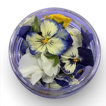 LIOFLOR Edible Pansy Mix 2g – Freeze-Dried Flowers for Cake Decoration