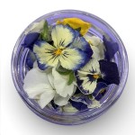LIOFLOR Edible Flowers Pansy Mix, 2g LIOFLOR Edible Flowers Pansy Mix, 2g