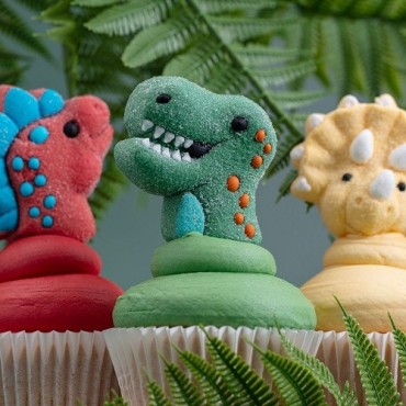 PME Marshmallow Roarsome Dinosaurs 12 Stück – Essbare Dino Marshmallows