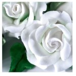 Renshaw White Flower & Modelling Paste, 250g