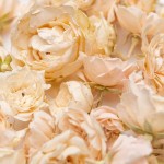 LIOFLOR Edible Mini White Roses, 2g