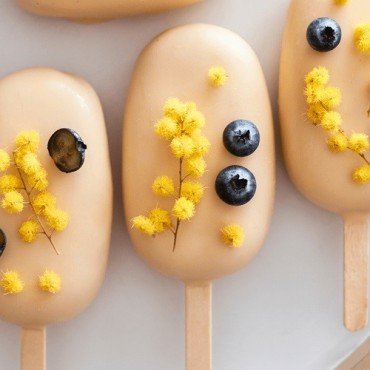 LIOFLOR Edible Yellow Mimosa Flowers Freeze-Dried 2g