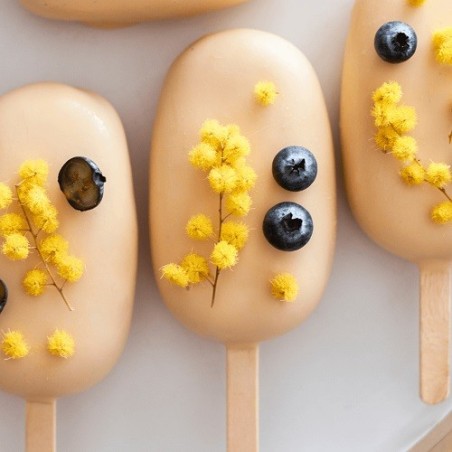 LIOFLOR Edible Yellow Mimosa Flowers Freeze-Dried 2g