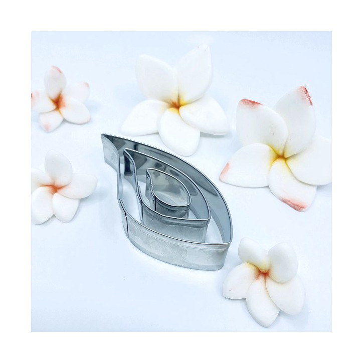 PME Blätter Ausstecher Set - LEAF Cutter ideal um Plumeria Zuckerblumen herzustellen