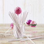 Birkmann 6-inch Cake Pop Lollipop Sticks, 48 pcs