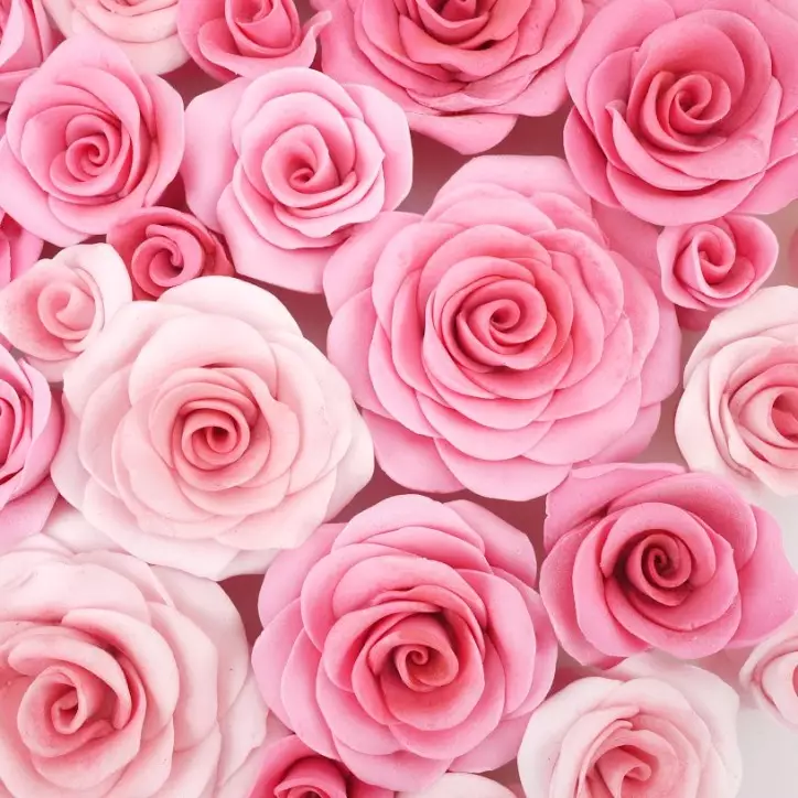 FMM Easiest Rose Ever Ausstecher – Für Schnelle und Schöne Rosen-Dekorationen | Bakeria