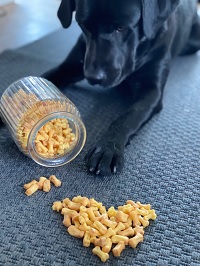 Hundeleckerli Selberbacken - Parmesan Leckerchen